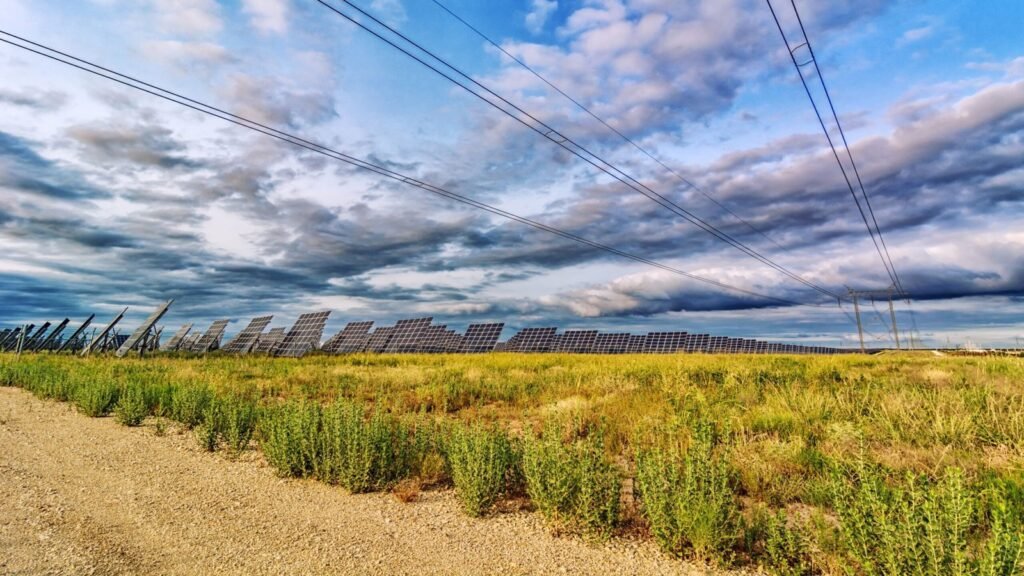 Rural farm business in the US